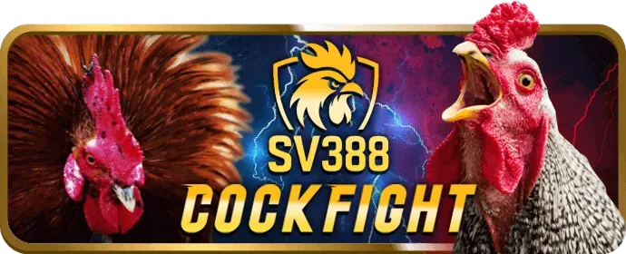 Hình ảnh biểu thị thông tin chính xác khi đăng ký 32win3